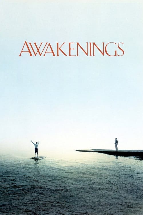 Zeit des Erwachens – 1990