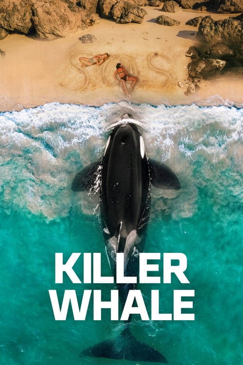 Killer Whale – 2026