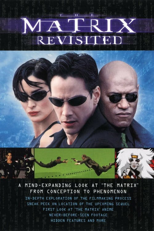 Matrix - Rückblicke, Einblicke, Ausblicke – 2001