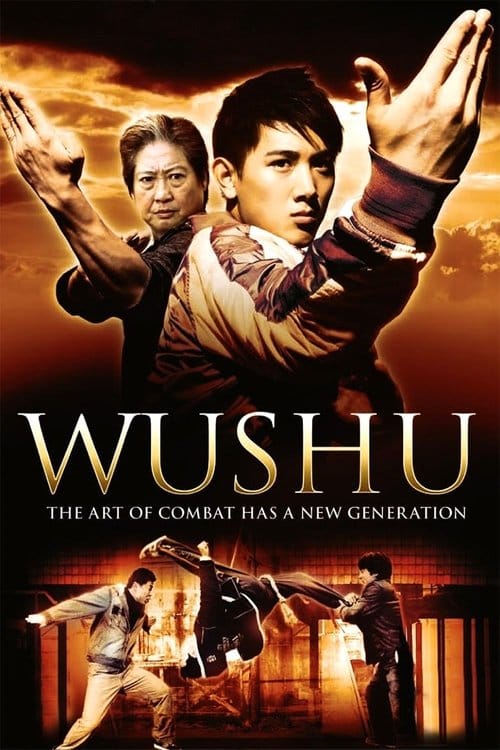 武术之少年行 – 2008