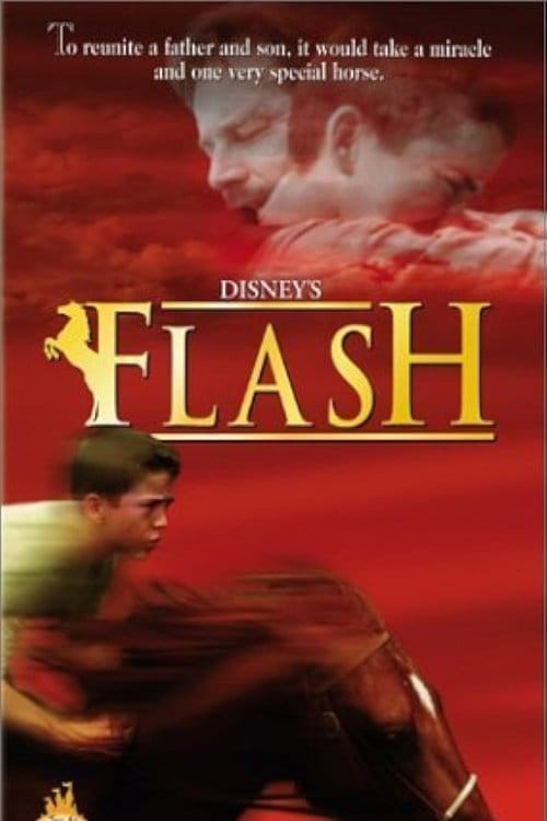 Flash – 1997