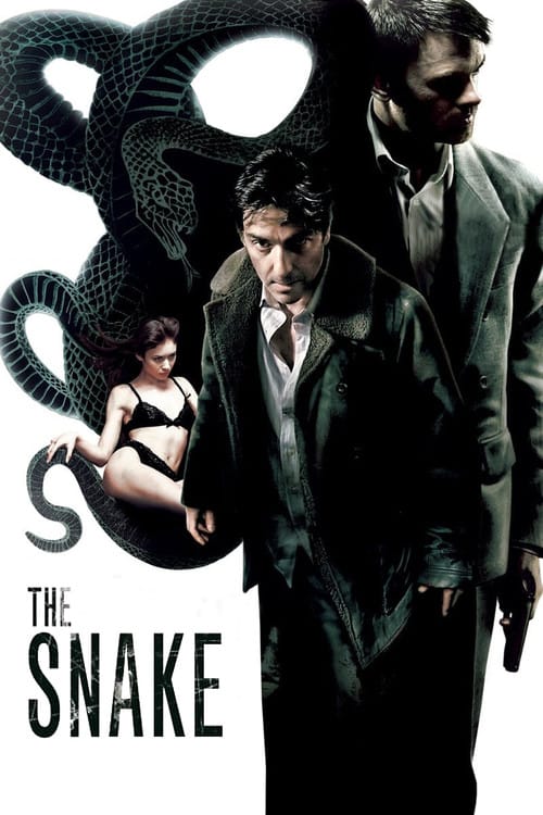 Filmposter
