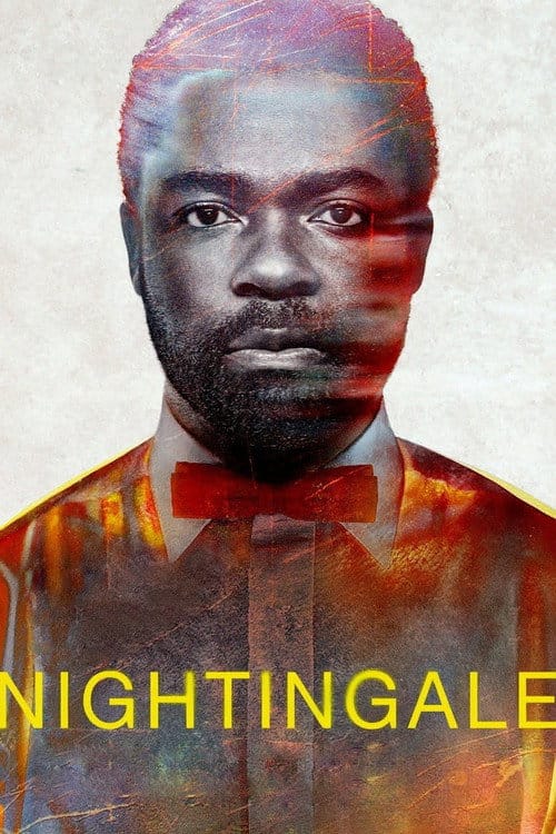 Nachtigall – 2014