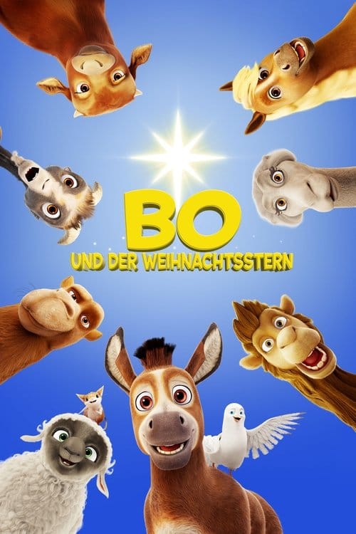 Bo und der Weihnachtsstern – 2017