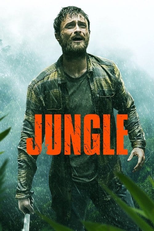Jungle – 2017