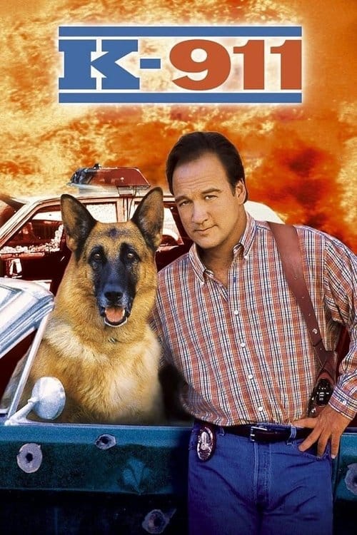 Mein Partner mit der kalten Schnauze 2 – 2000
