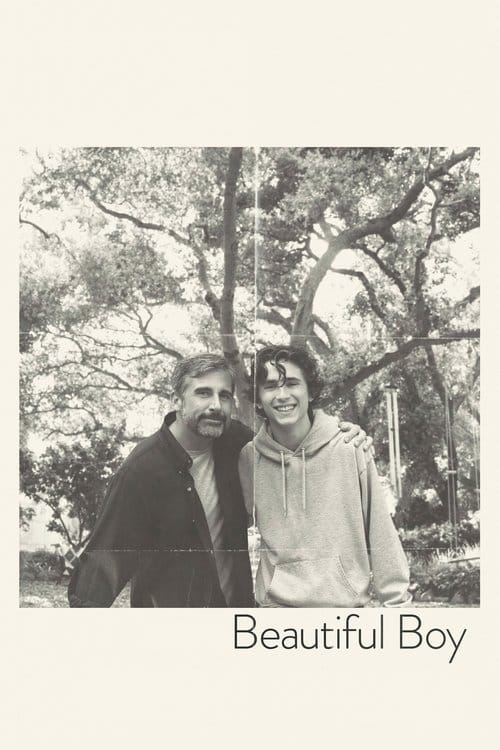 Beautiful Boy – 2018