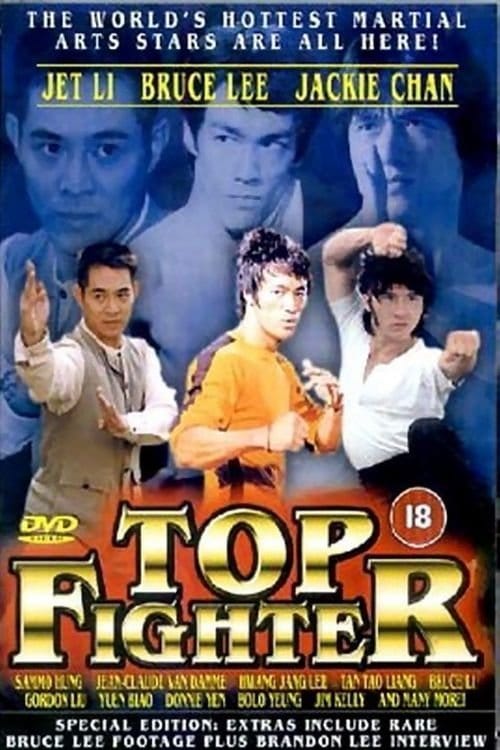 Top Fighter 1 – 1995