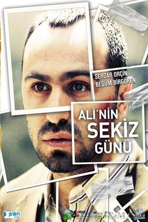 Ali'nin Sekiz Günü – 2009
