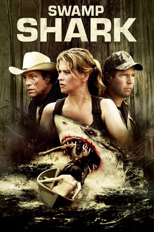 Hai Attack – 2011