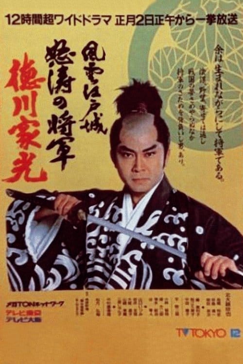 風雲江戸城 怒涛の将軍徳川家光 – 1987