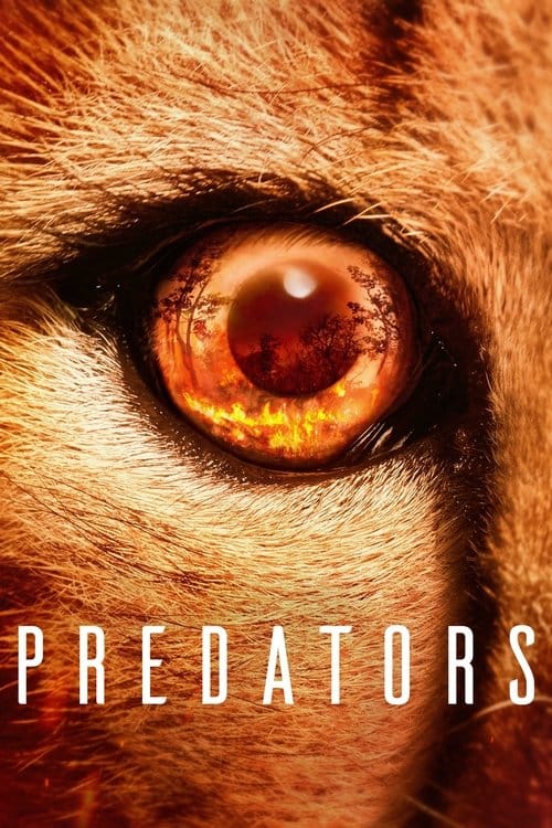 Filmposter