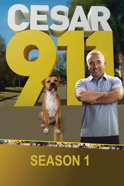 Staffelposter
