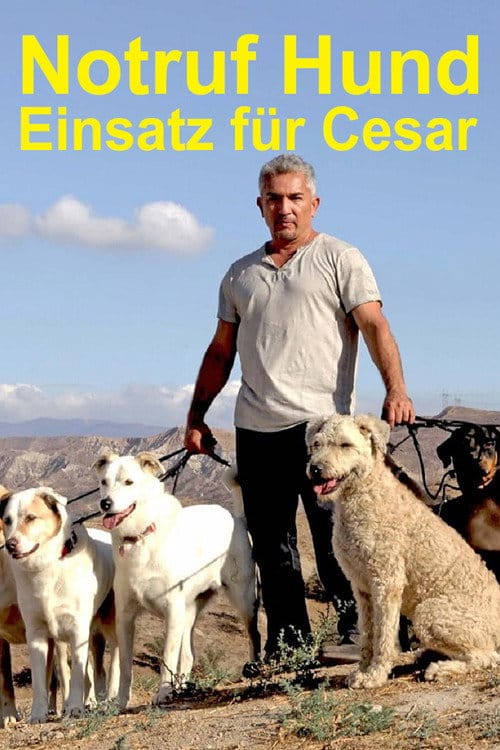 Notruf Hund - Einsatz für Cesar – 2014