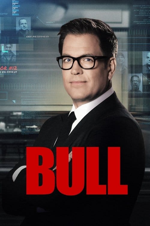 Bull – 2016